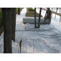 Ausgezeichnete Wasserdurchlässigkeit PP Non-Woven Geotextile